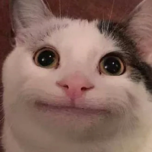 profiel foto